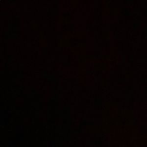 Meet your Posher, Braxton